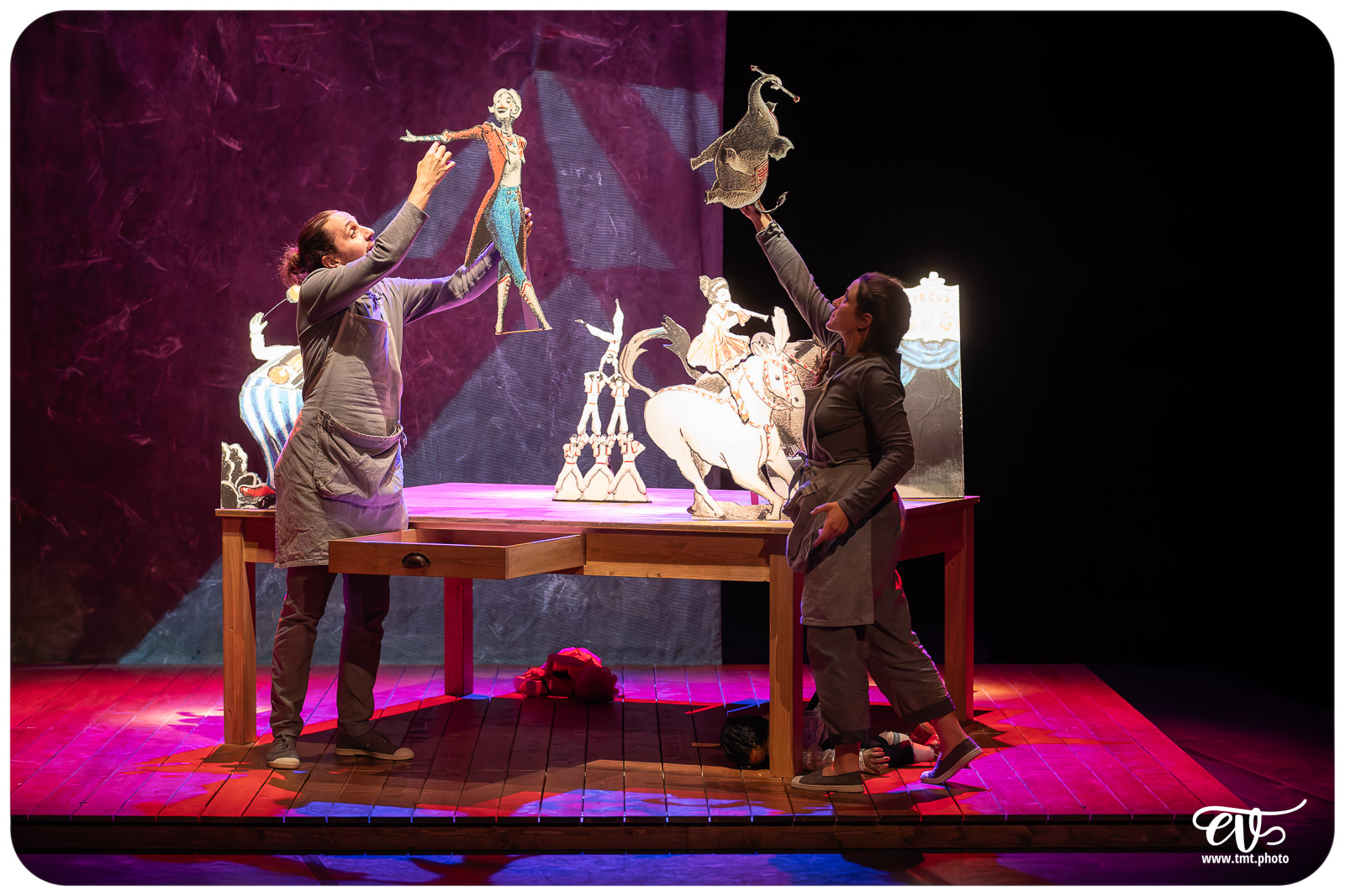 LA TRISTESSE DE L'ELEPHANT (CIE DES RIVES DE L'ILL)